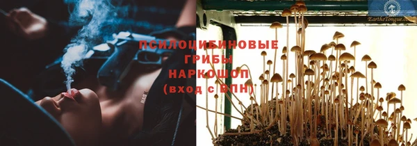 apvp Арсеньев